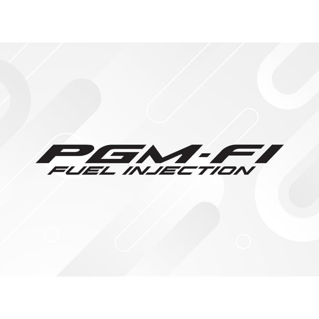 Technology-PGM-FI-Technology-1120x623 copy